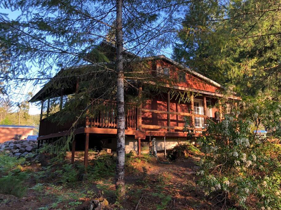 The Cabin In パックウッド エクステリア 写真