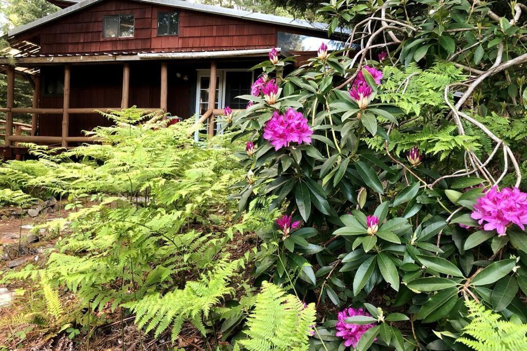 The Cabin In パックウッド エクステリア 写真